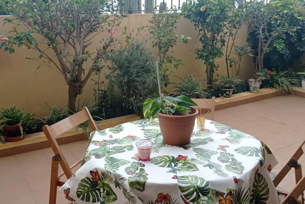 Casa El Sentir Leilighet El El Sauzal Eksteriør bilde
